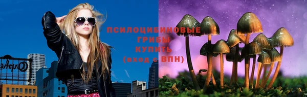 дживик Абаза