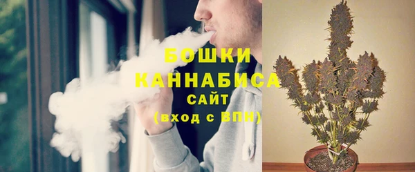 дживик Абаза