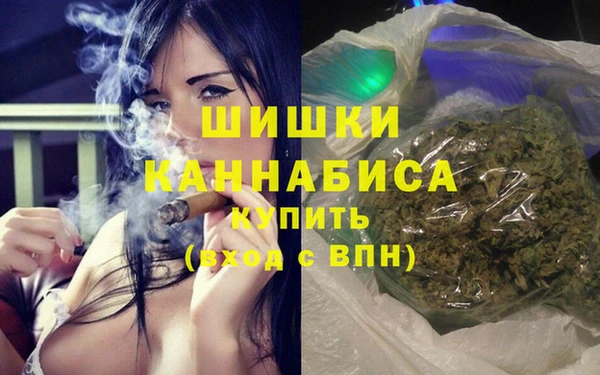дживик Абаза