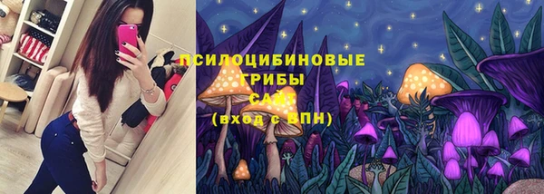 СК Всеволожск
