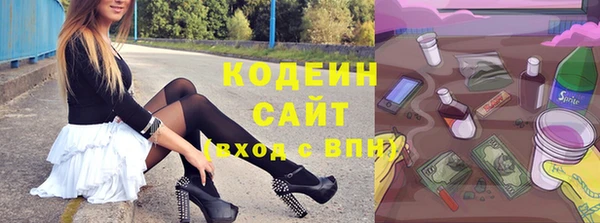 дживик Абаза