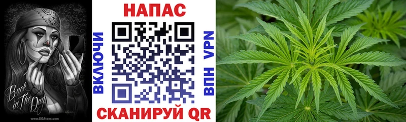 Каннабис планчик  Поворино 